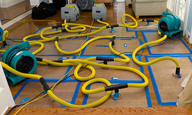 Professional Burst Pipe Water Damage technician working in Ottawa, OH